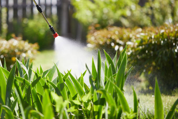 24/7 Emergency Termite Control experts in Archdale, NC