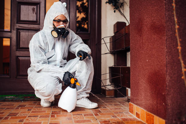 Reliable Termite Control contractor in Archdale, NC by Nex Pest Control