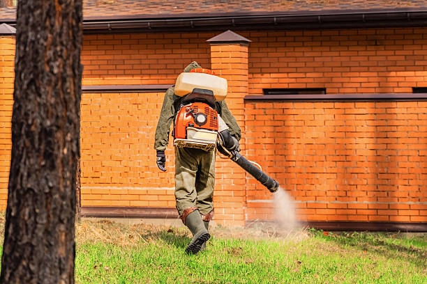 Top rated local Termite Control specialists in Archdale, NC
